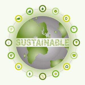 What Is Sustainability and Why Is It Important?
